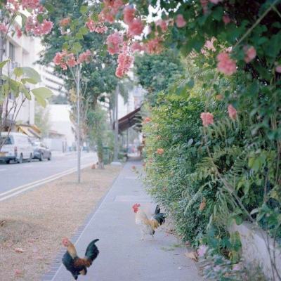 乐彩彩票welcome下载手机版