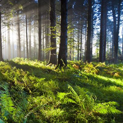 Kaiyun体育官方入口