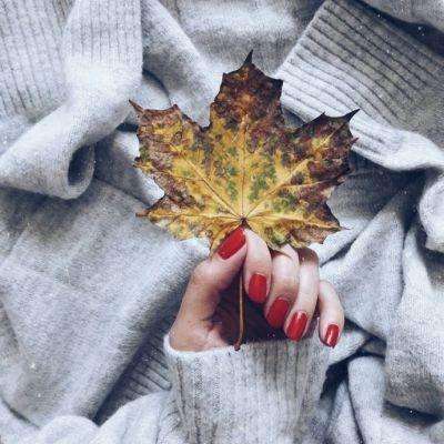 完美电竞平台下载手机版