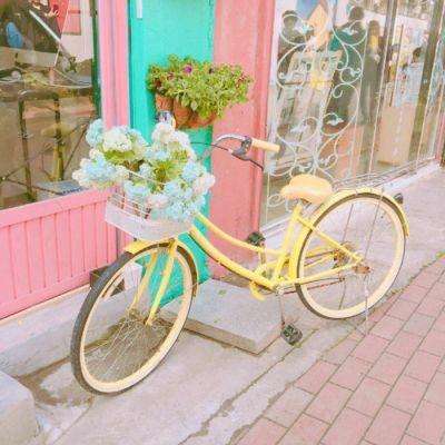 大众彩票入口welcomeapp下载