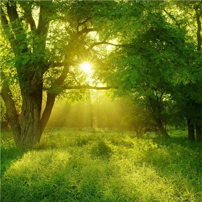 ag真人平台官方下载手机版截图